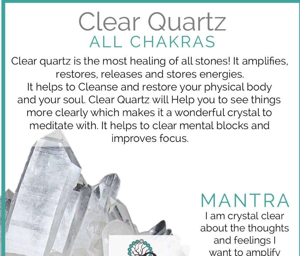 Black Tourmaline & Crystal Quartz Stretch Bracelet! Genuine Crystals! - Bela Fils BoutiqueBraceletsBela Fils Boutique